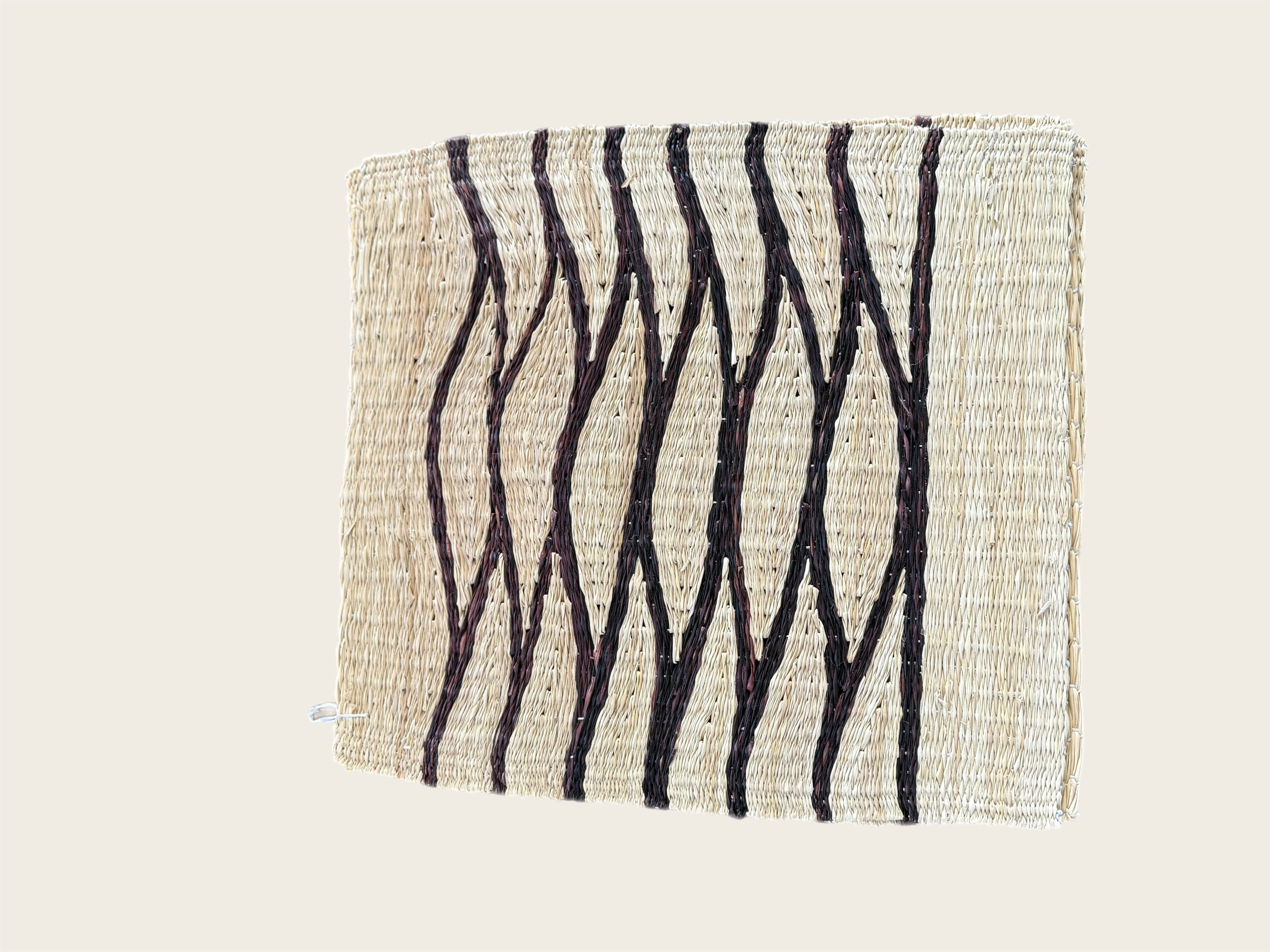 Brown and Straw Zenu Placemats