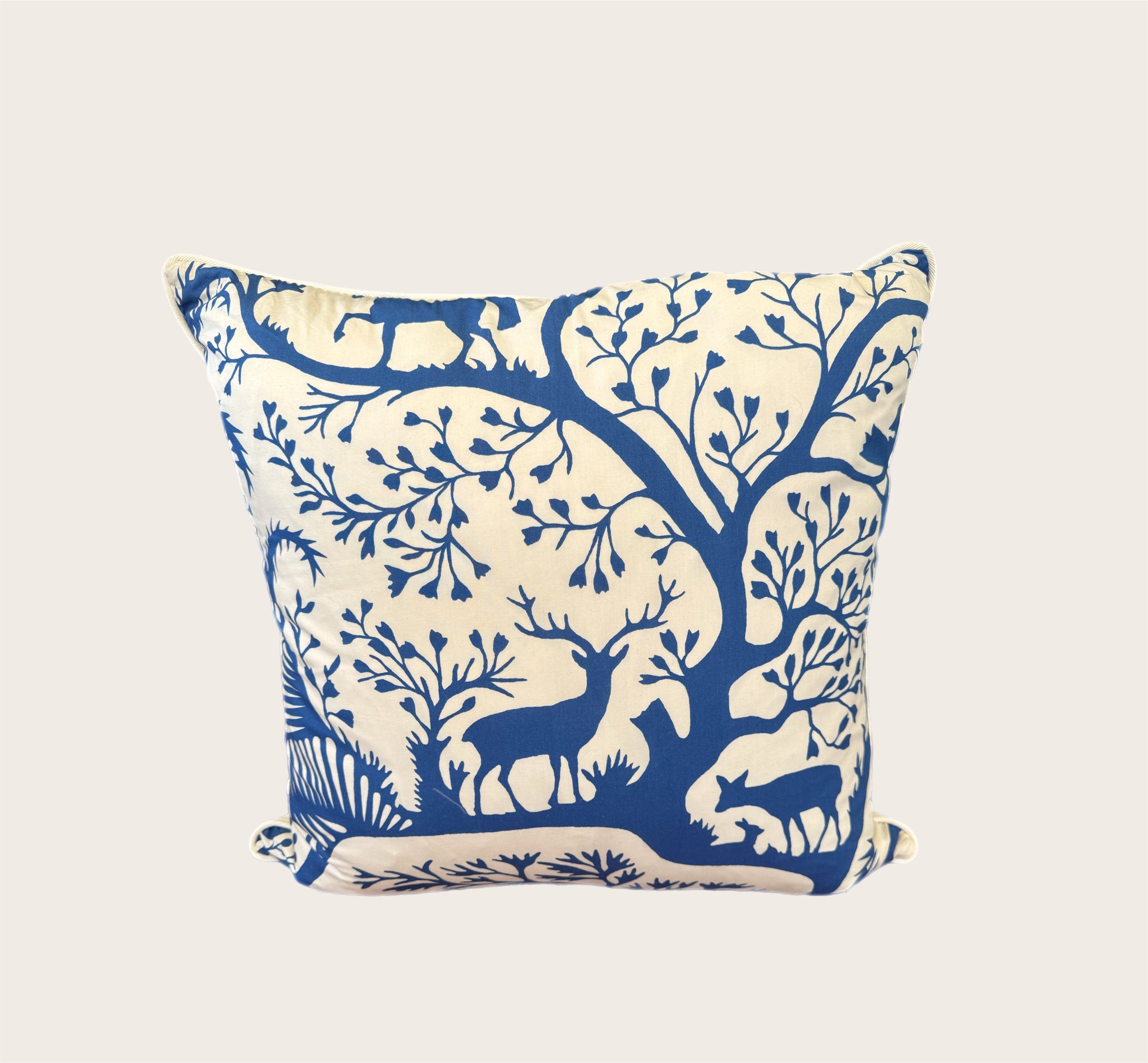 Pillows 22 X 22